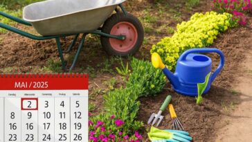 kalendarz księżycowy 2025