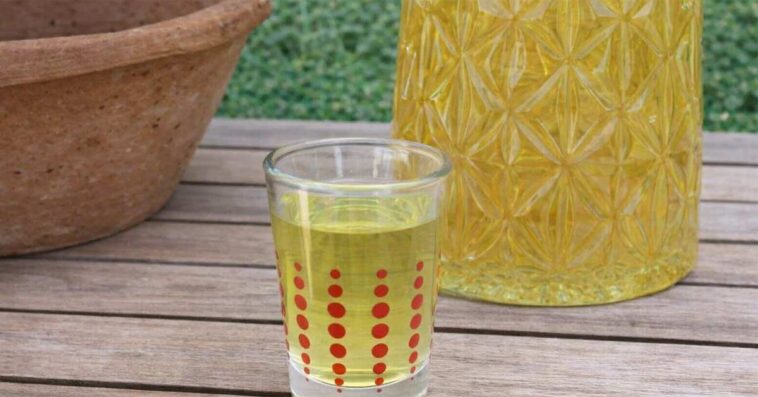 Nalewka na poprawę pamięci