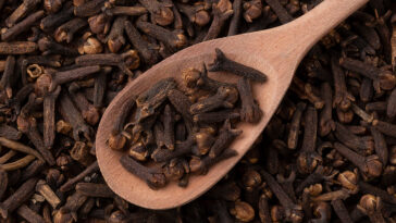 goździki właściwości lecznicze