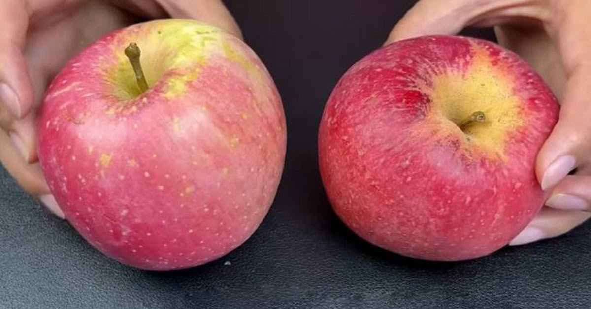 Jabłko jak rozpoznać smak po wyglądzie
