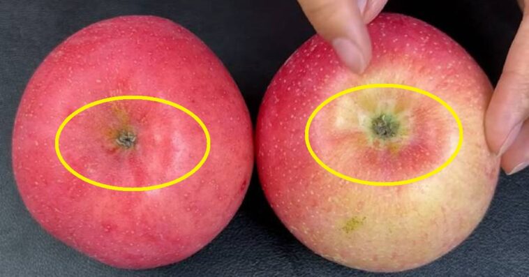 Jak rozpoznać smak jabłka po wyglądzie