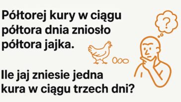 Zagadka z kurami i jajkami